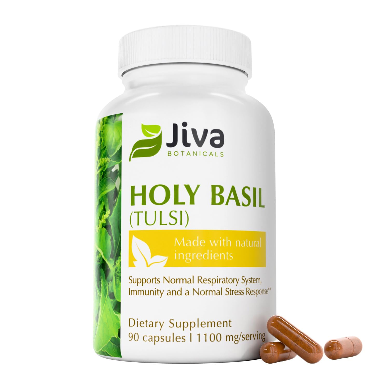 Jiva Botanicals Holy Basil capsules bottle for daily balance and calm moments.