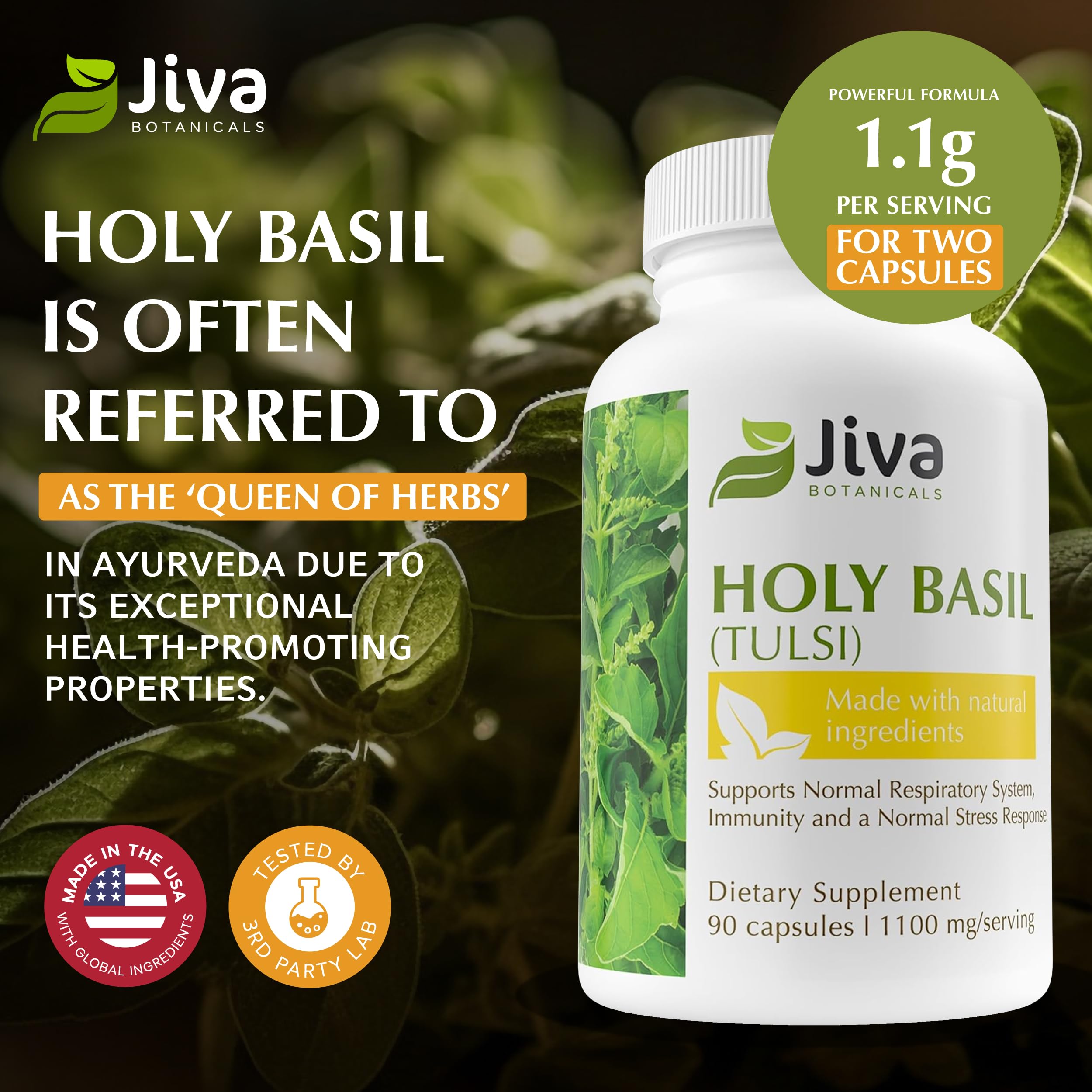 Jiva Botanicals Holy Basil capsules jar close-up highlighting premium extract features.