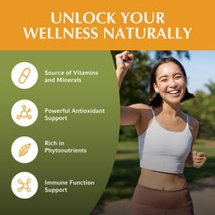 Jiva Botanicals moringa leaves powder close-up – protein and fiber-rich plant nutrition