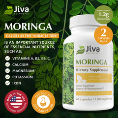 Jiva Botanicals oleifera extract blend visual – premium moringa concentrate