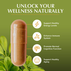 Jiva Botanicals Shilajit capsules back label showing vegan and gluten-free status