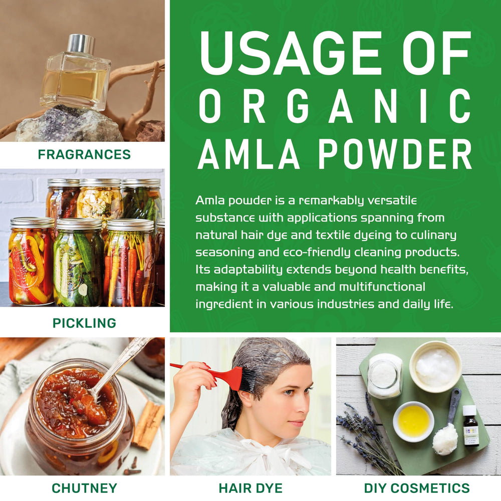 Top-view bowl of amla powder showing fine texture