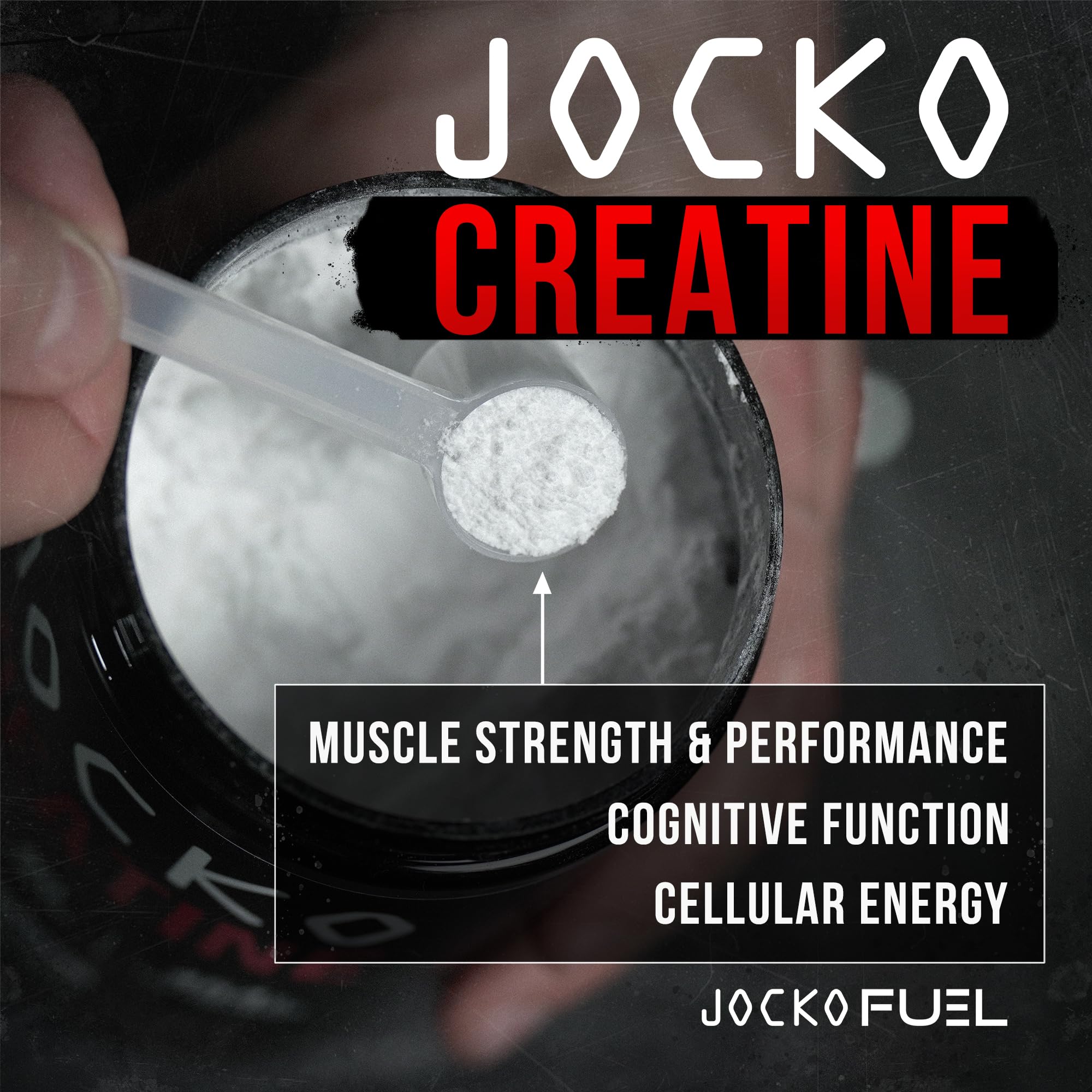 16 oz jar label visible for Jocko Fuel Creatine Monohydrate powder.