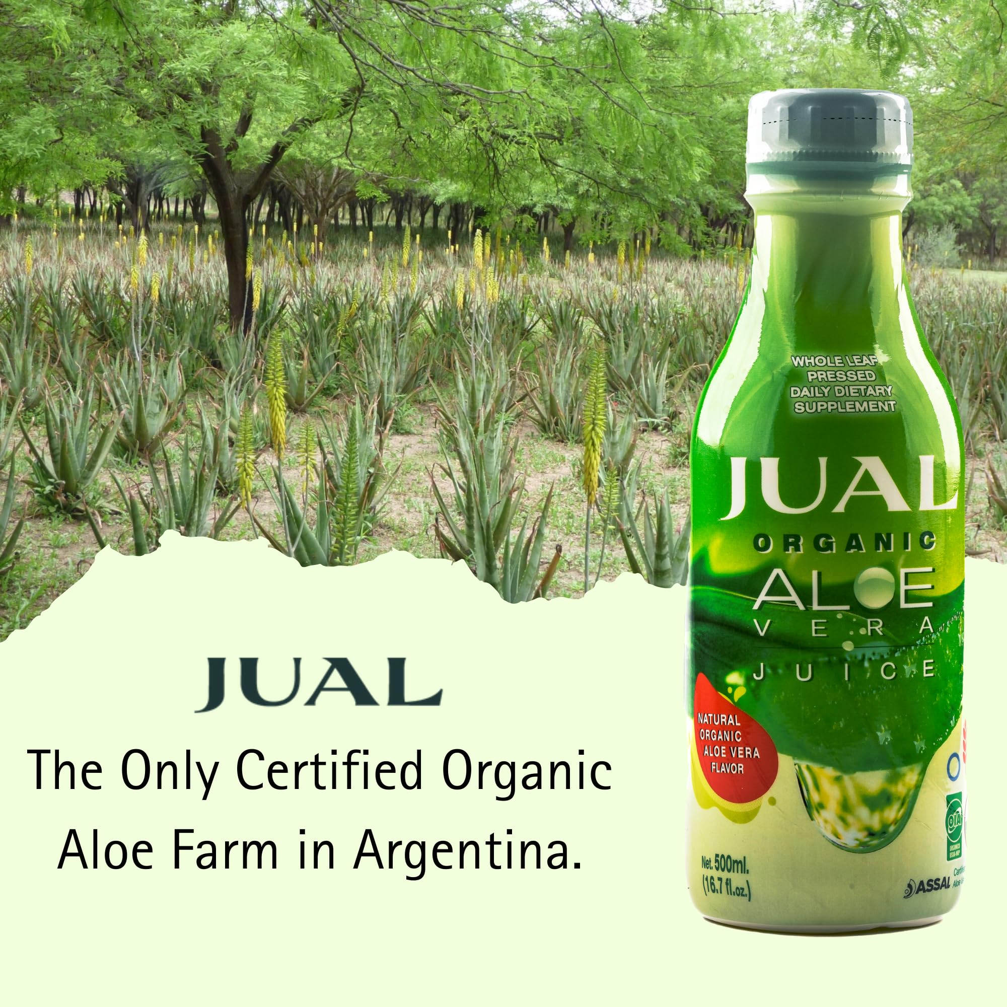 JUAL Aloe Vera Juice vegan-friendly label communicates plant-based refreshment.