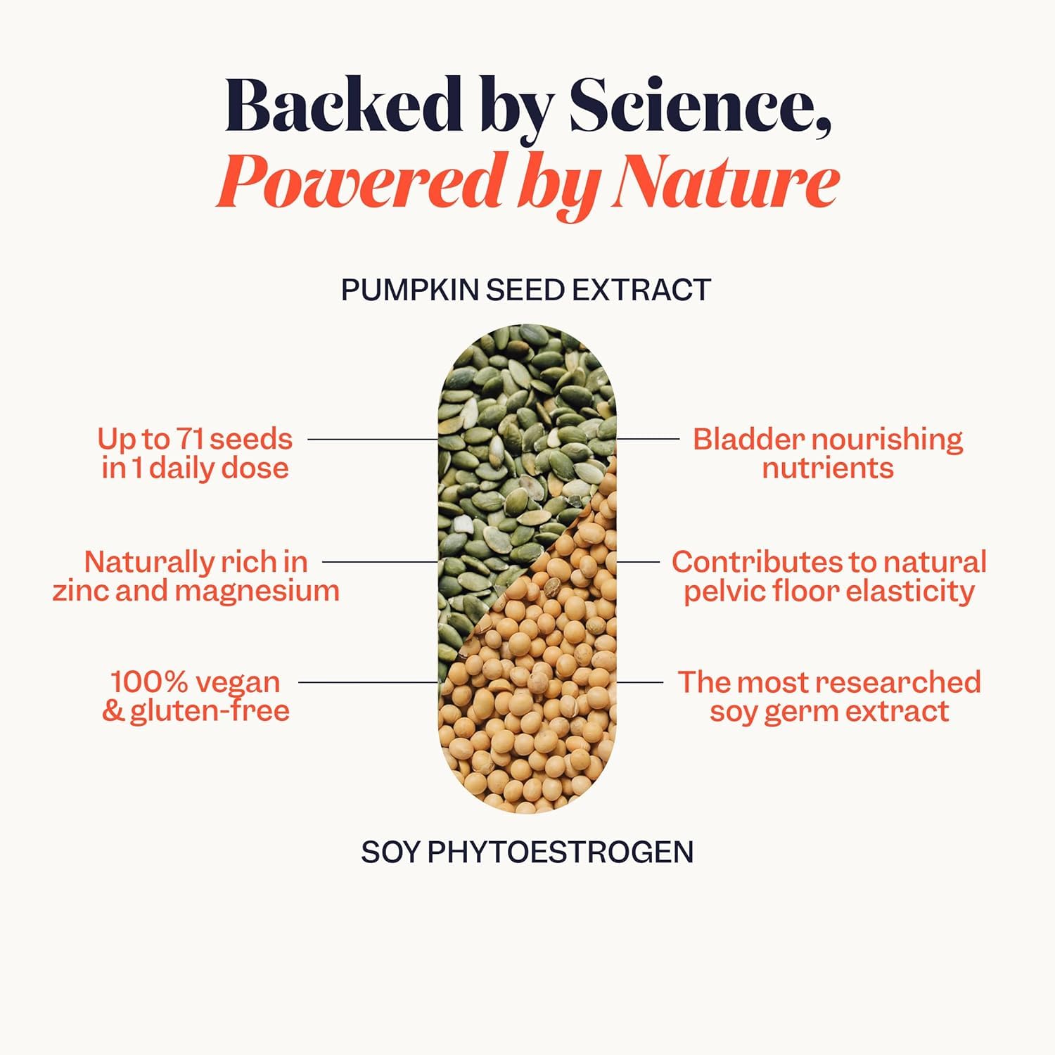 Soy germ and pumpkin seed ingredients highlighted in Jude Bladder Strength.