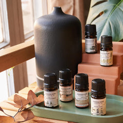 Juniper Ridge Redwood Mist pours a forest-inspired scent during use.