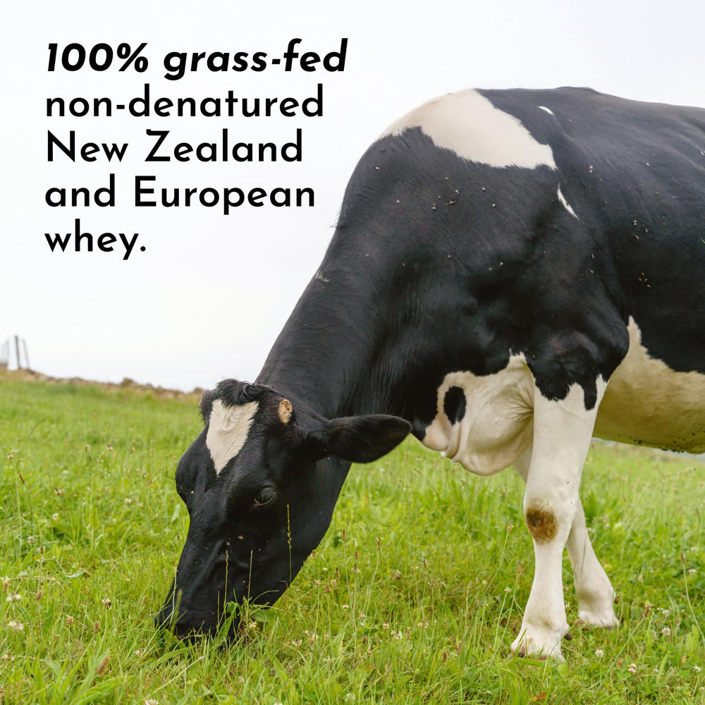 Just Ingredients Grass-fed whey isolate packaging highlights quality protein source