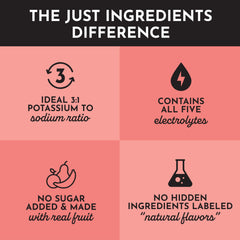 JUST INGREDIENTS Guava Mango Electrolytes real fruit extracts emphasize natural taste