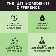 JUST INGREDIENTS ingredients label highlights minerals and plant-based sweeteners for clean flavor.