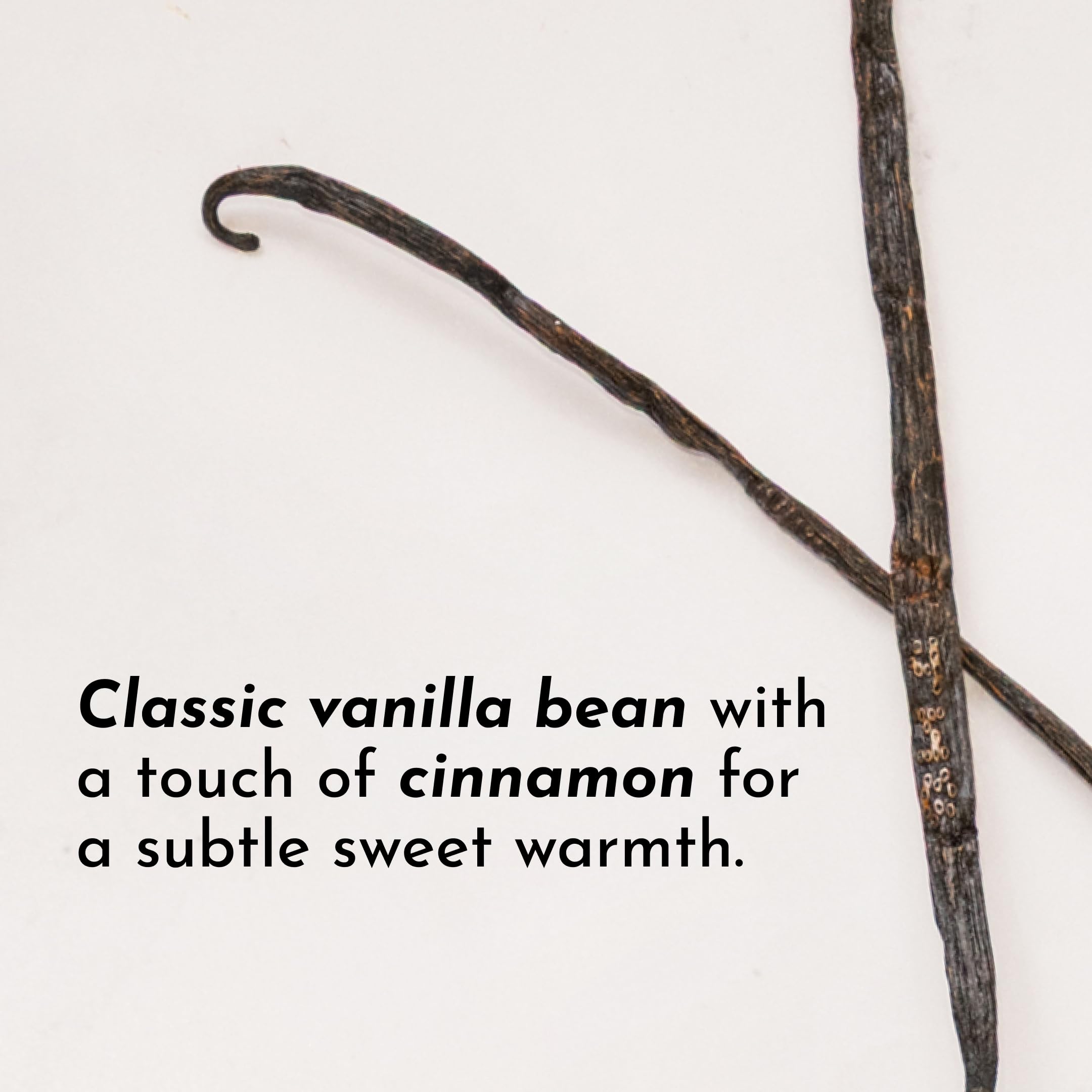 JUST INGREDIENTS Vanilla Bean Protein Powder in mixing bowl for smoothies and bowls.