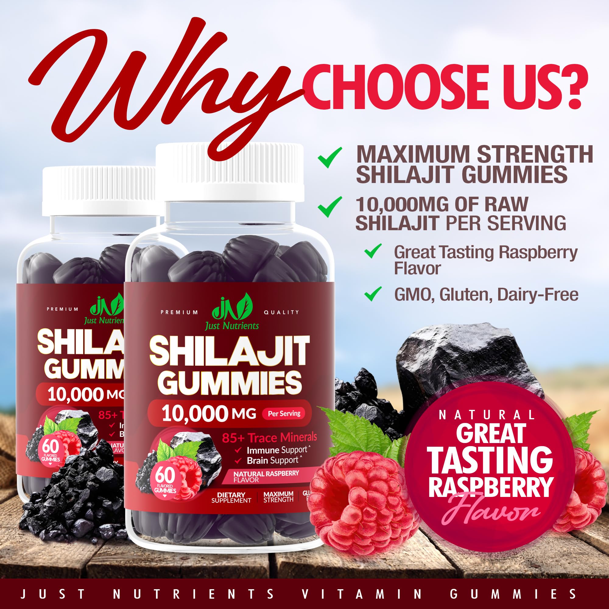 Just Nutrients Shilajit Gummies pack indicating monthly supply and value.