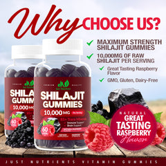 Just Nutrients Shilajit Gummies pack indicating monthly supply and value.