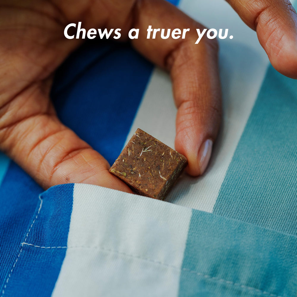 KA Kanna Daily Chews third party tested seal confirms quality