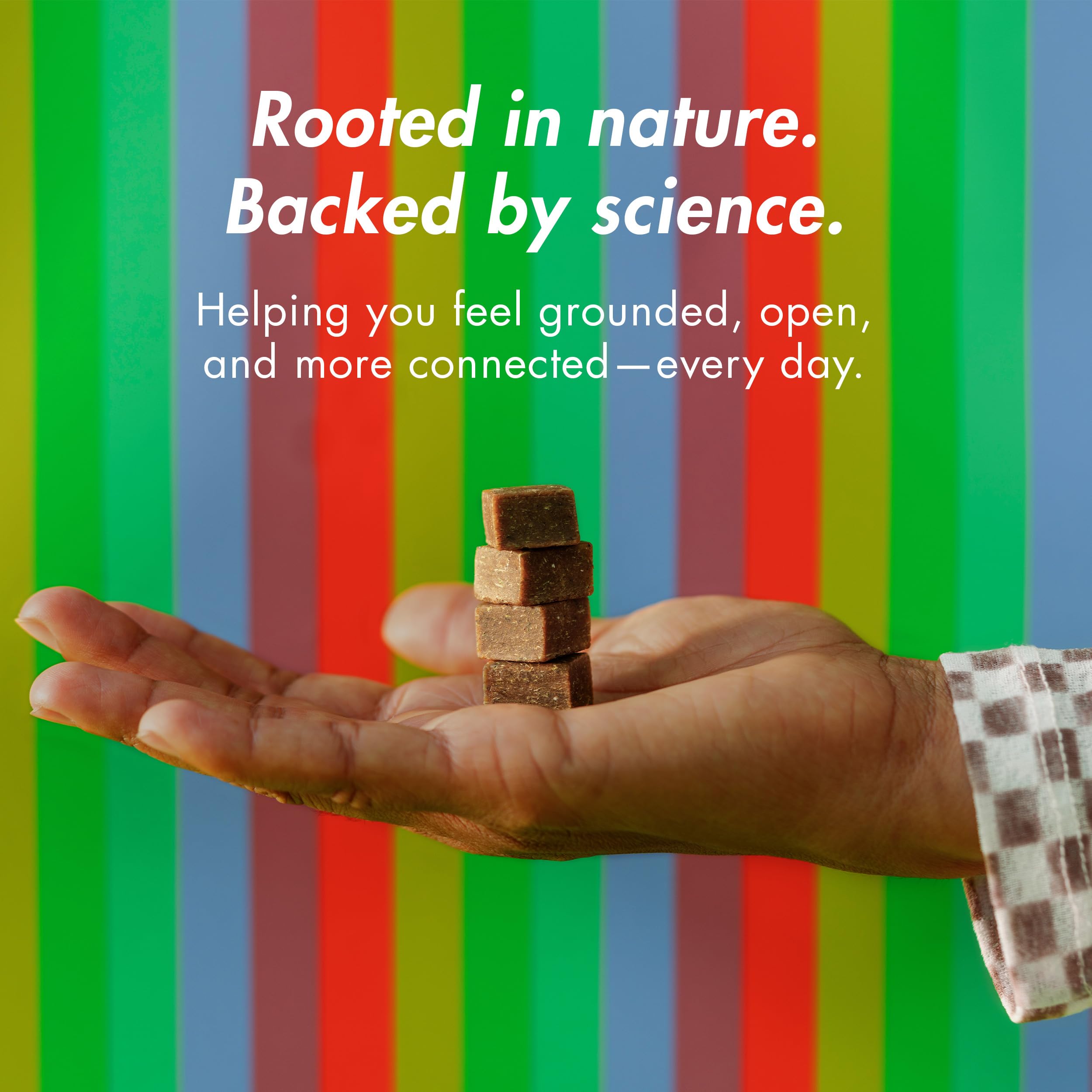 KA Kanna Daily Chews vegan ingredients label emphasizes plant based formula