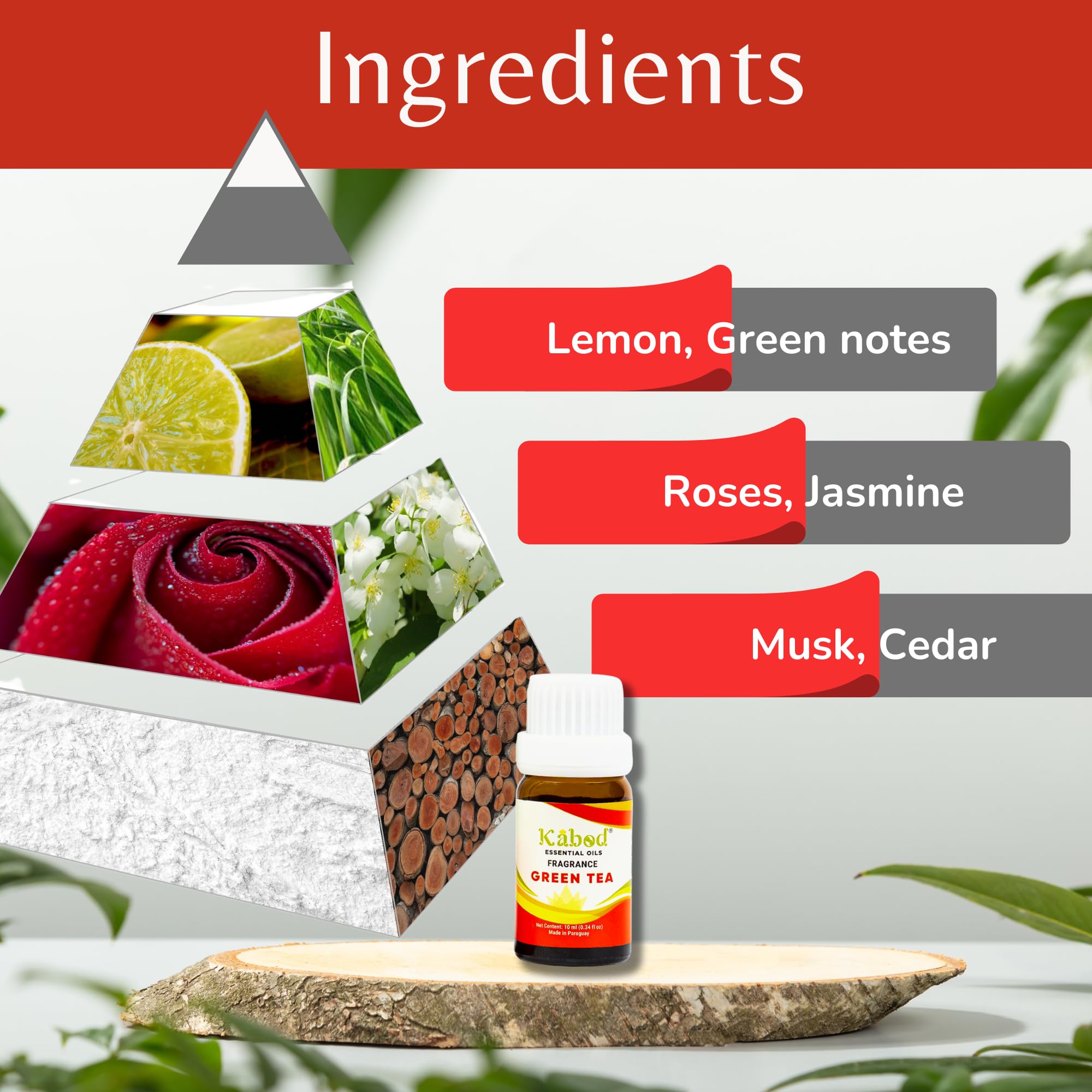 Kabod Green Tea Essential Oil gift set packaging for gifting
