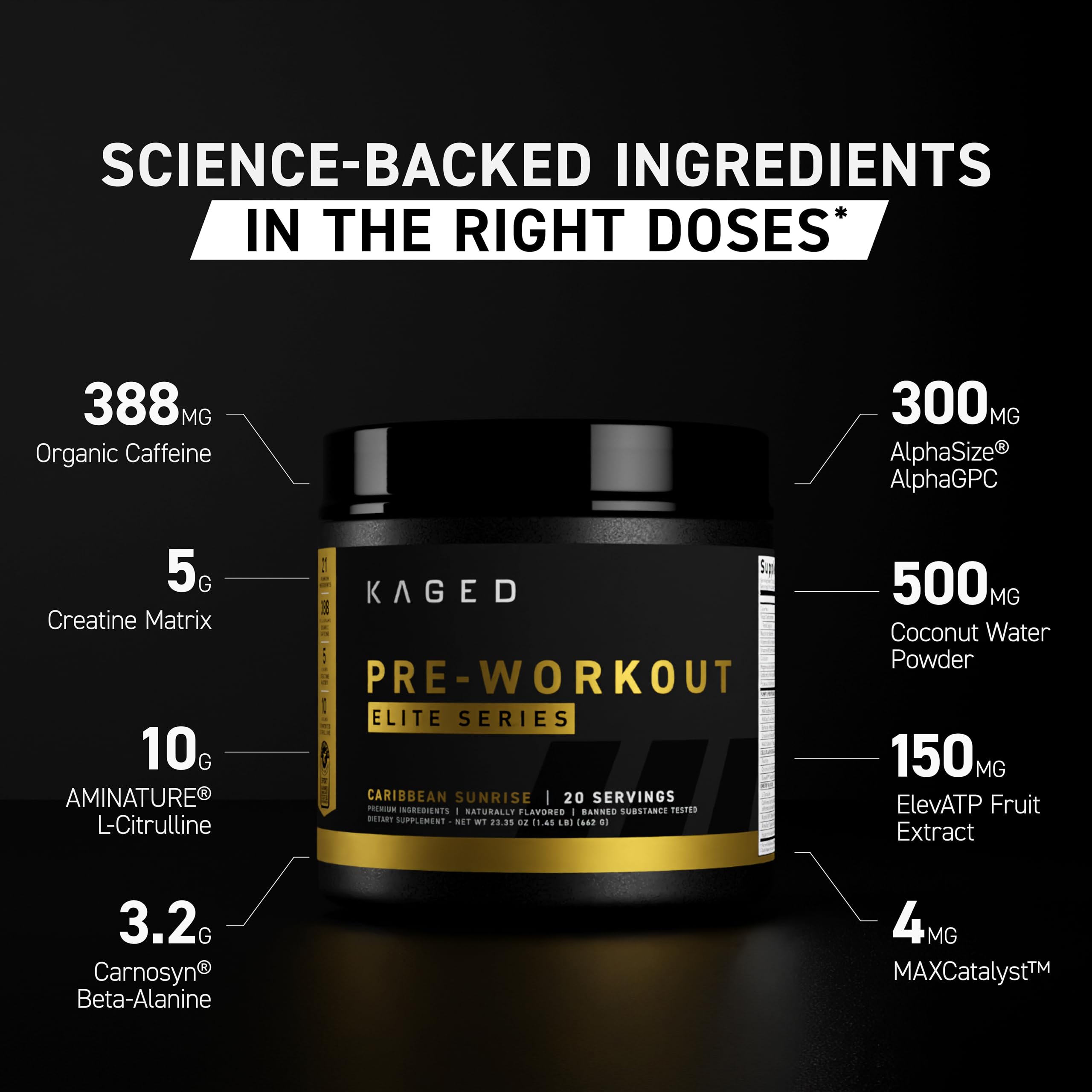 Kaged PRE-KAGED Elite Orange Mango scoop on a spoon for precise dosing.