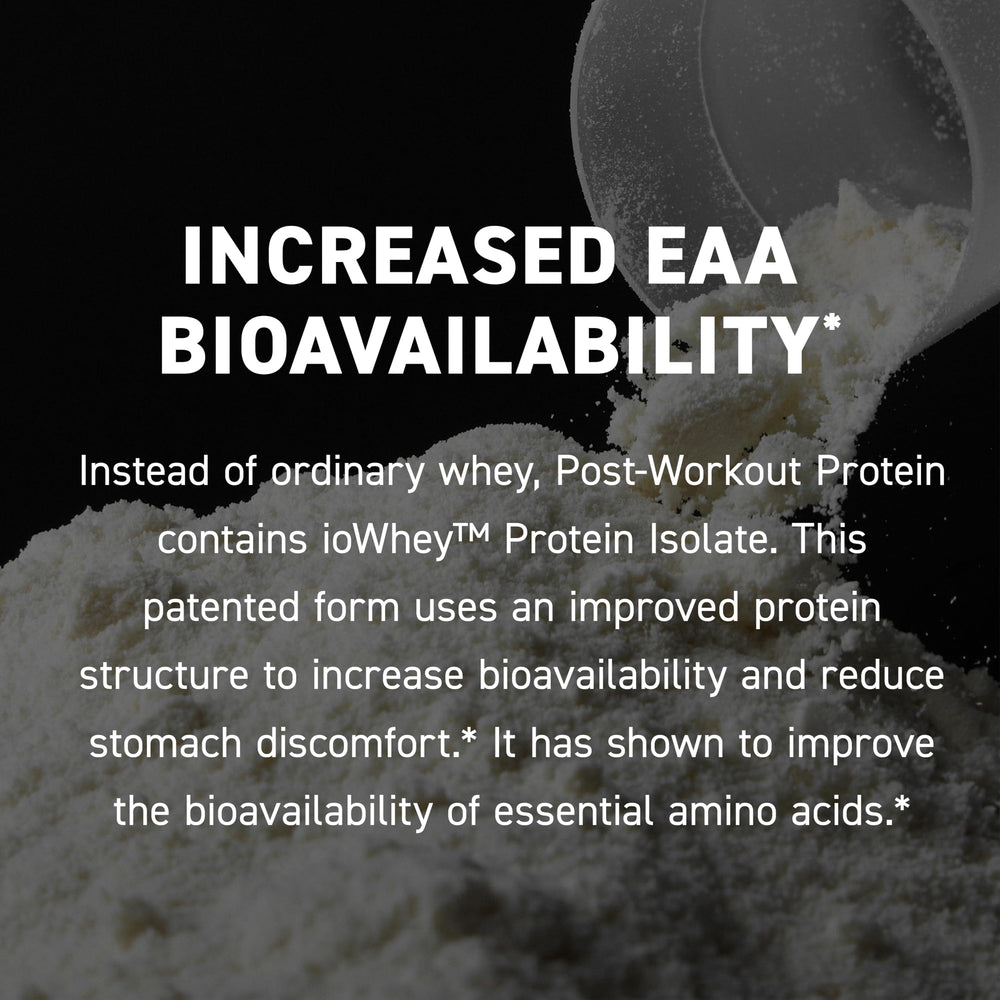 Whey protein isolate close-up indicating fast absorption potential.