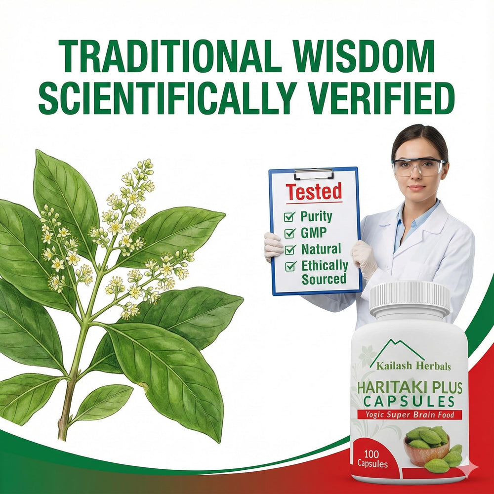 Kailash Herbals Haritaki capsules dispensing scene suggests simple daily ritual.