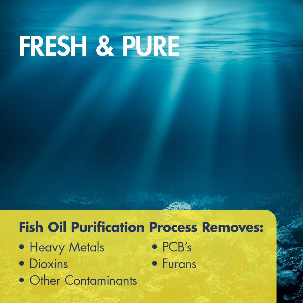 KAL purification process close-up showing purity measures.