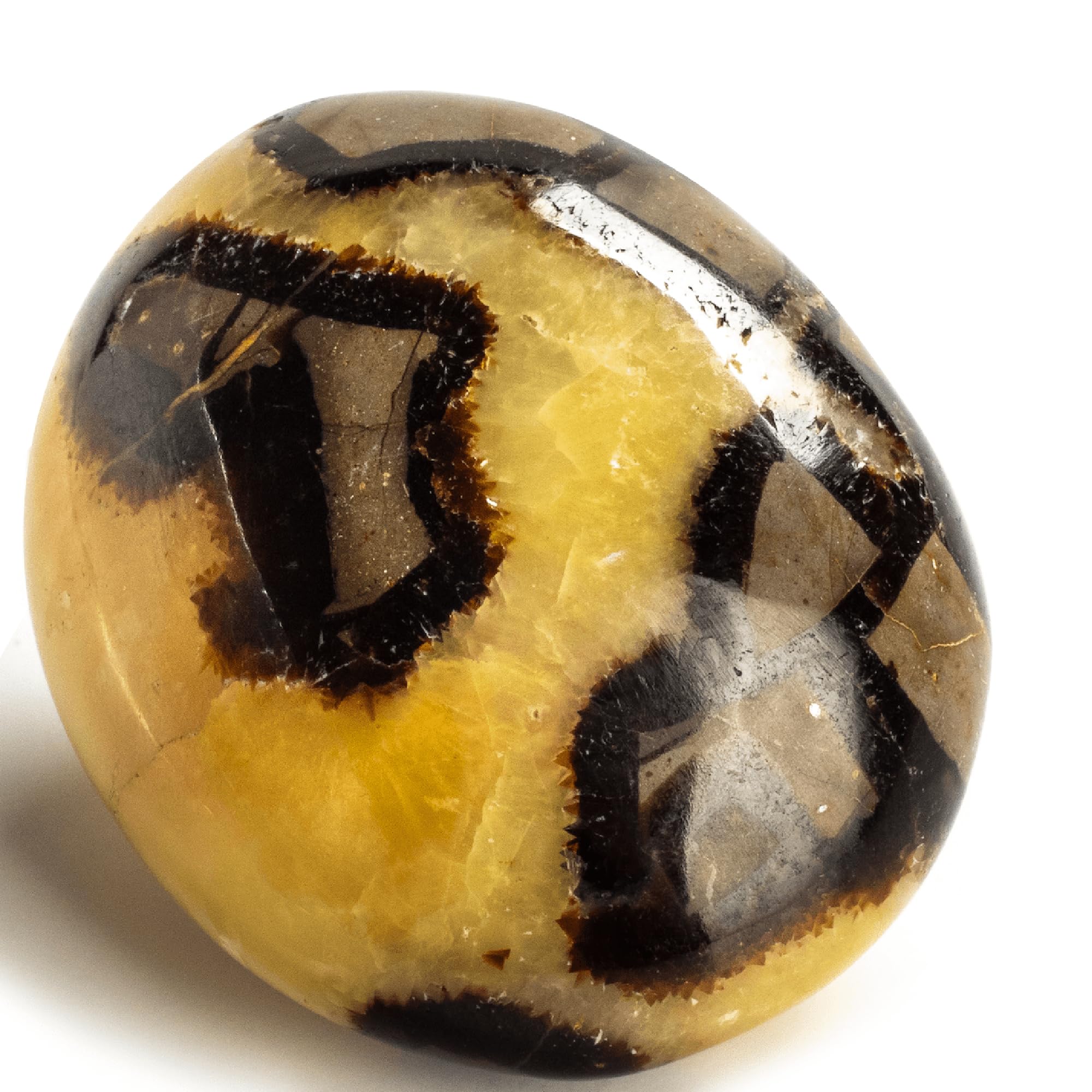 KALIFANO Septarian palm stone close-up highlighting natural texture and grounding energy.