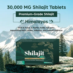 Close-up of Kanacoufce Shilajit tablets — compact dosage for on-the-go use.