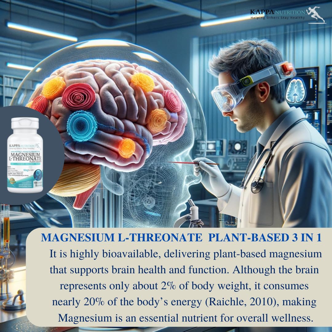 Study-focused scene featuring Magbrain for memory and focus support