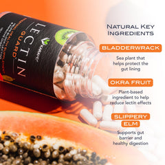 KaraMD Lectin Guard capsules close-up demonstrates easy-to-swallow daily supplement.