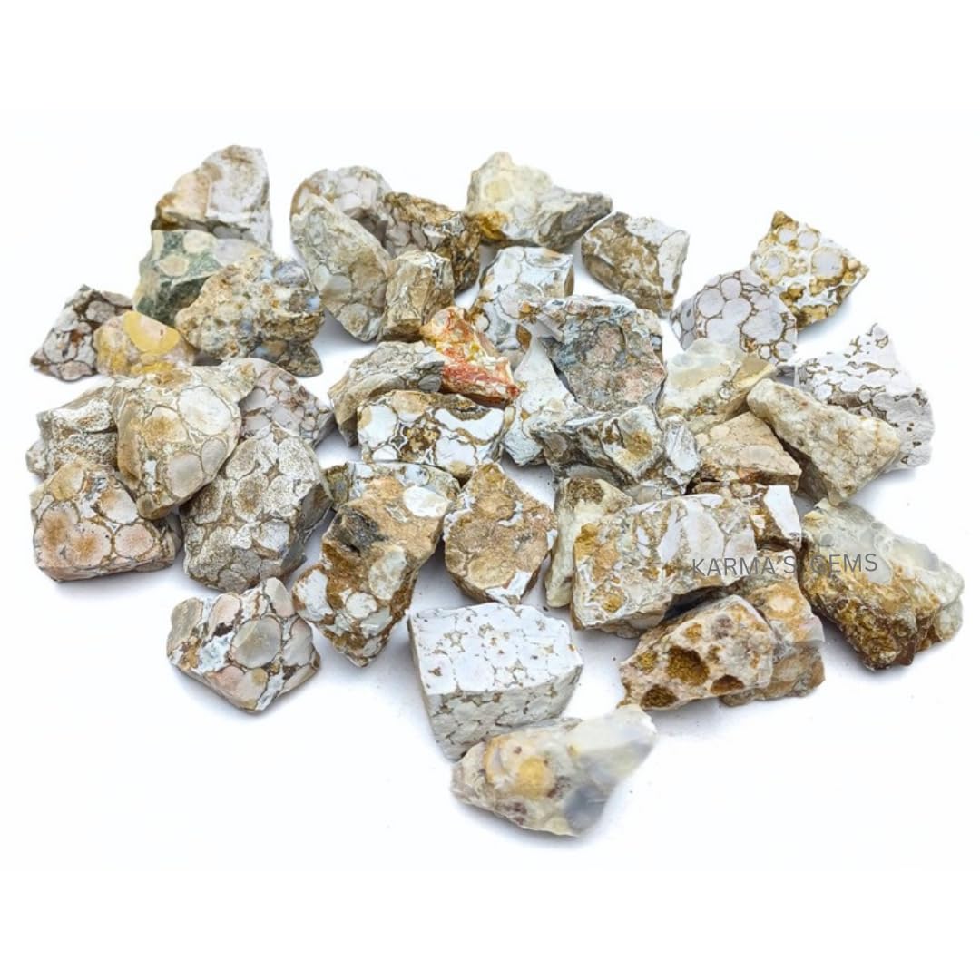 Karma Gems Fossil Jasper raw boulder for display and craft projects.