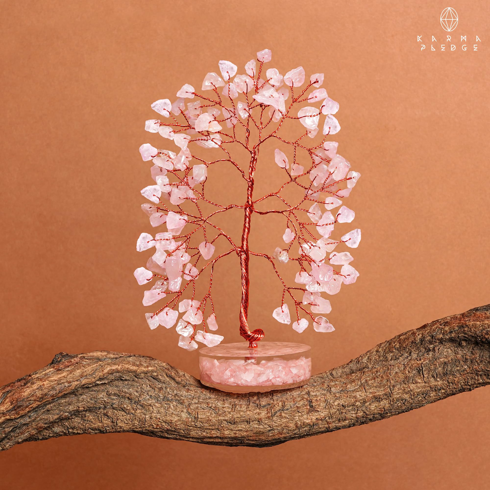 KARMAPLEDGE ambient setting evokes tranquil energy and balanced vibes