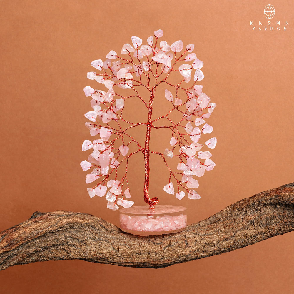 KARMAPLEDGE ambient setting evokes tranquil energy and balanced vibes
