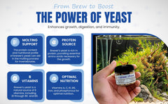 KatsAquatics fast sinking tablets reach bottom-dwellers quickly and efficiently.