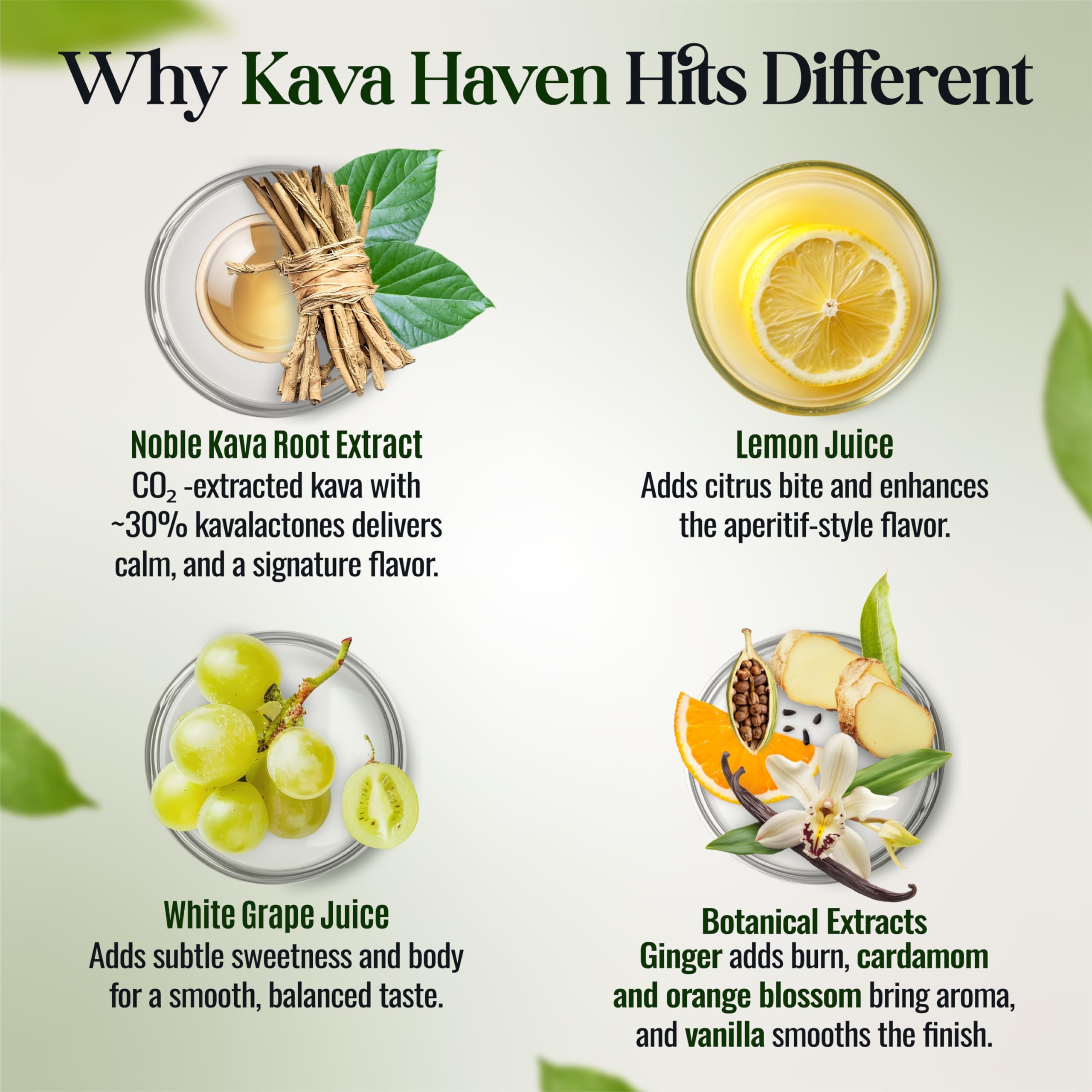 Kava Haven ginger vanilla aroma enhances sipping