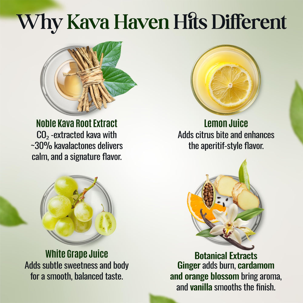 Kava Haven ginger vanilla aroma enhances sipping