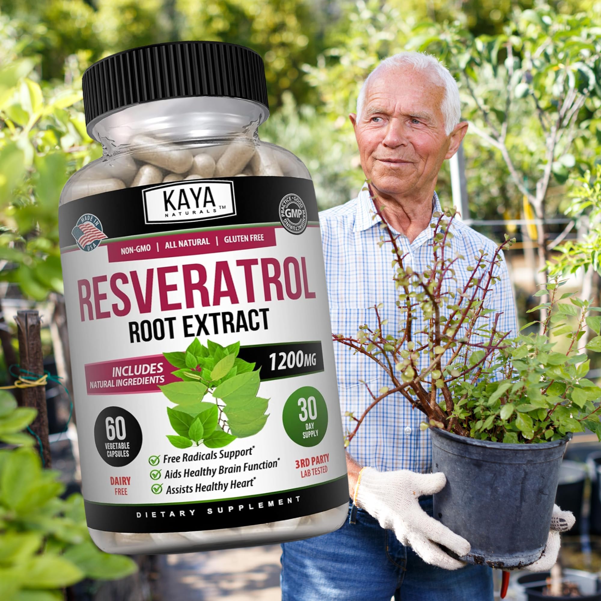 Kaya Naturals Resveratrol per-pack illustration highlighting six-bottle value