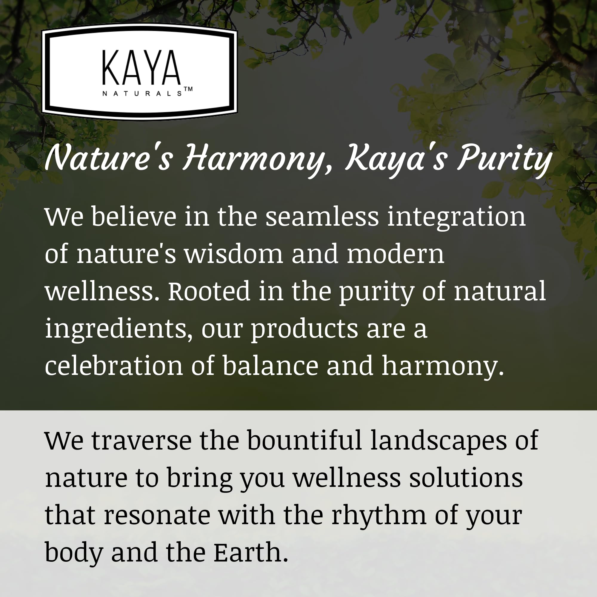 Kaya Naturals Resveratrol capsules displayed as part of a wellness routine