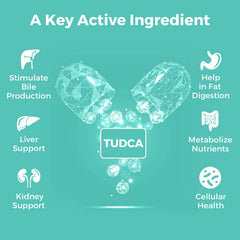 Kayseari Tudca label close-up showing 60 capsules and 1000mg.