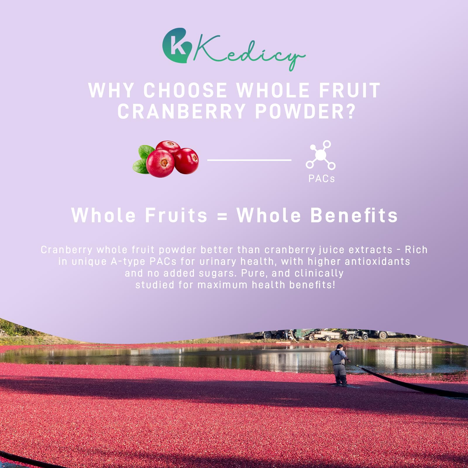Kedicy Cranberry Pills daily-dose setup shows one capsule per day