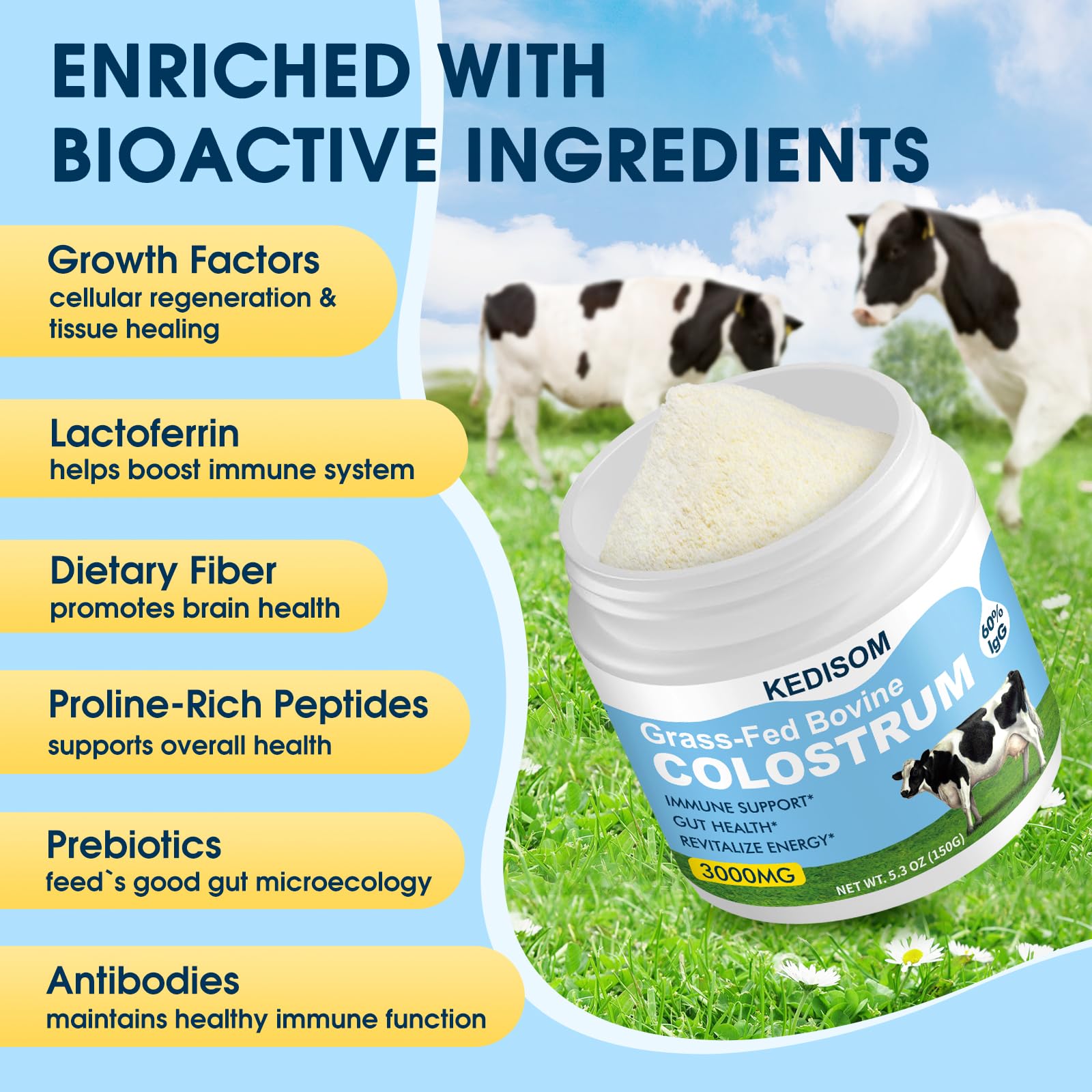 KEDISOM colostrum powder scoop showing easy serving size