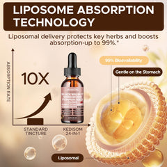 KEDISOM wormwood tincture ingredients list highlighting botanicals for gut-friendly support.