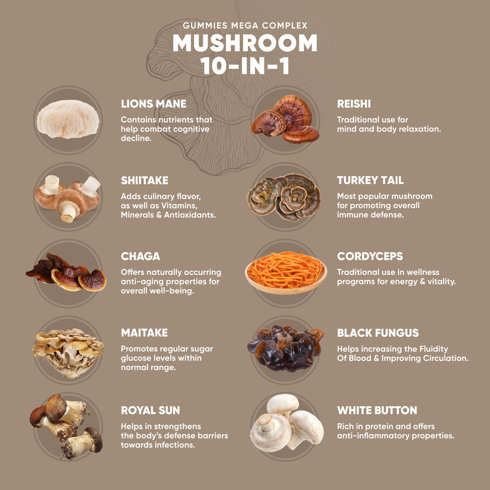 KeosPharma 10-in-1 mushroom blend label highlights cognitive support.