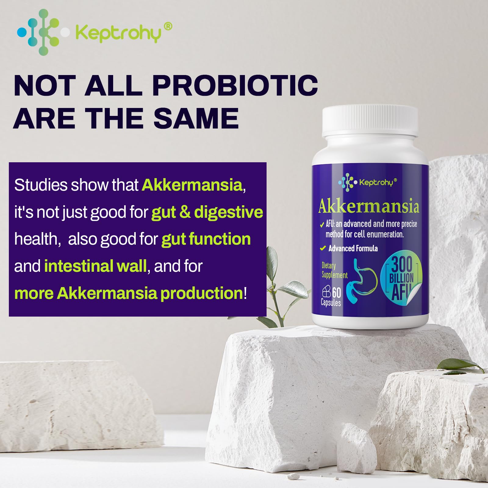 Keptrohy bottle beside healthy foods signals digestive support