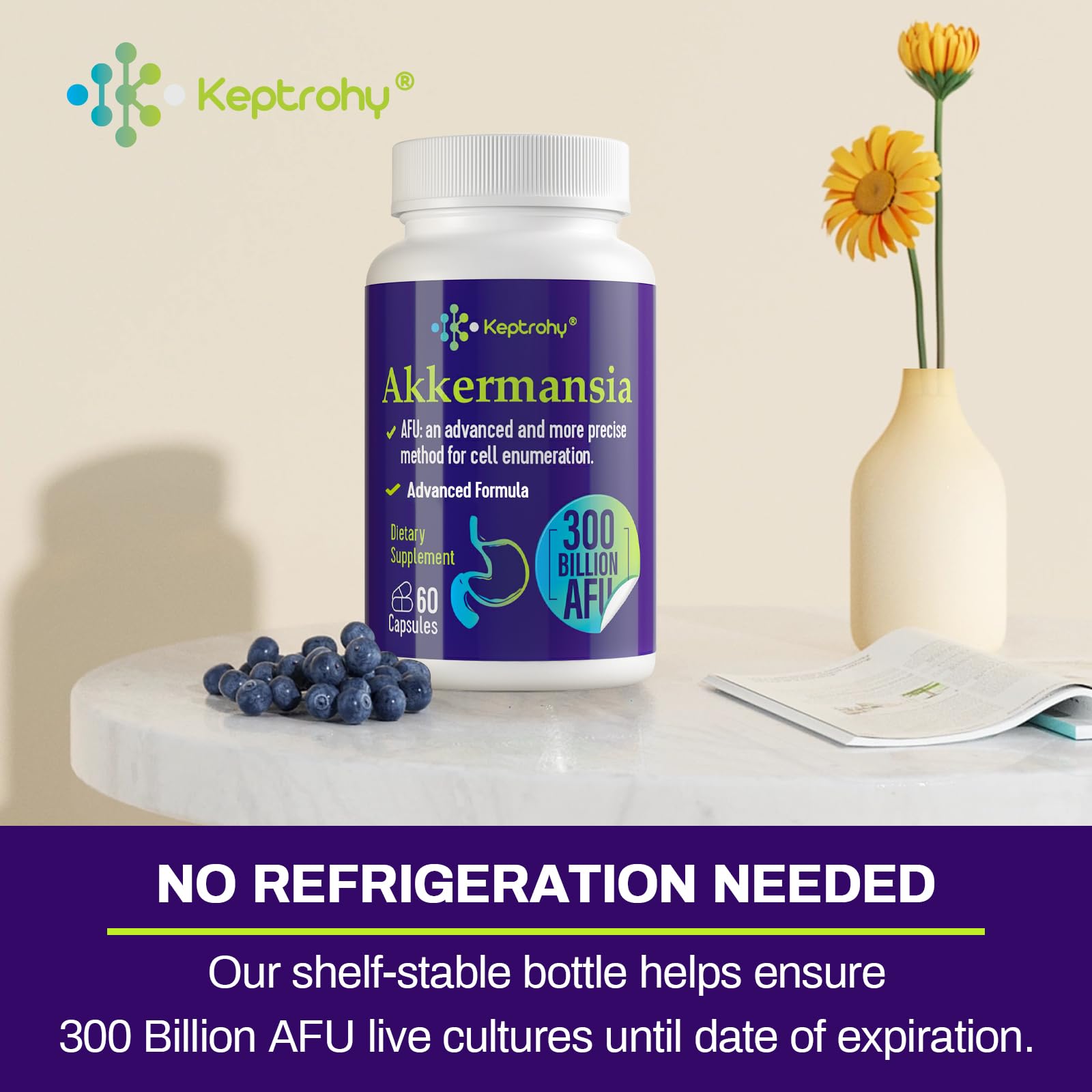 Keptrohy Akkermansia vegan capsules ready for daily gut health routines