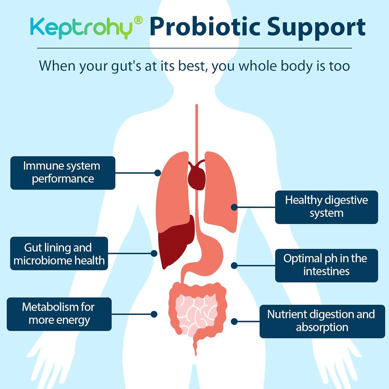 Keptrohy organic prebiotics image showcases nourishing fiber for gut bacteria.
