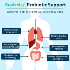 Keptrohy organic prebiotics image showcases nourishing fiber for gut bacteria.