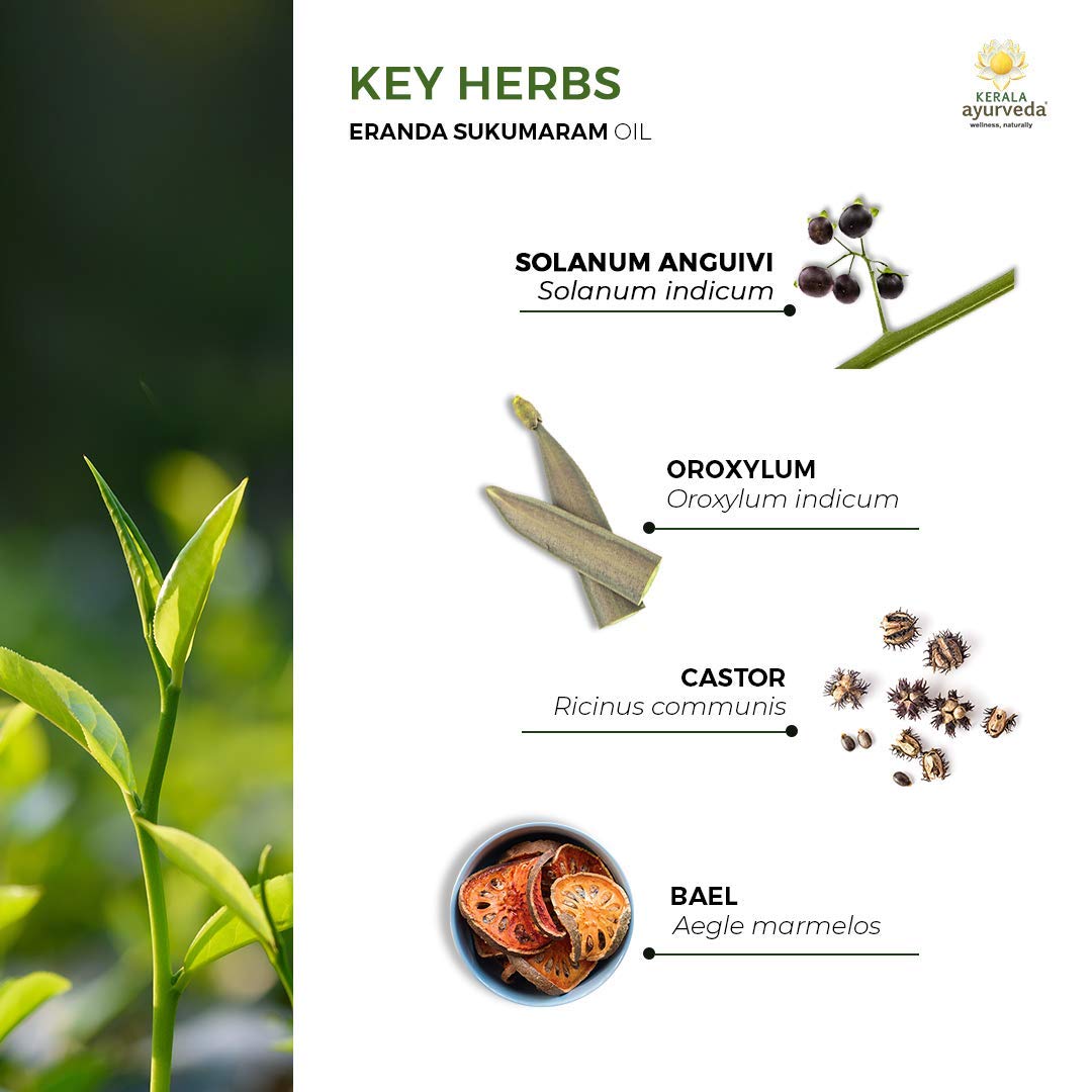 Interior-use Eranda Sukumaram oil supports traditional elimination and dosha balance options