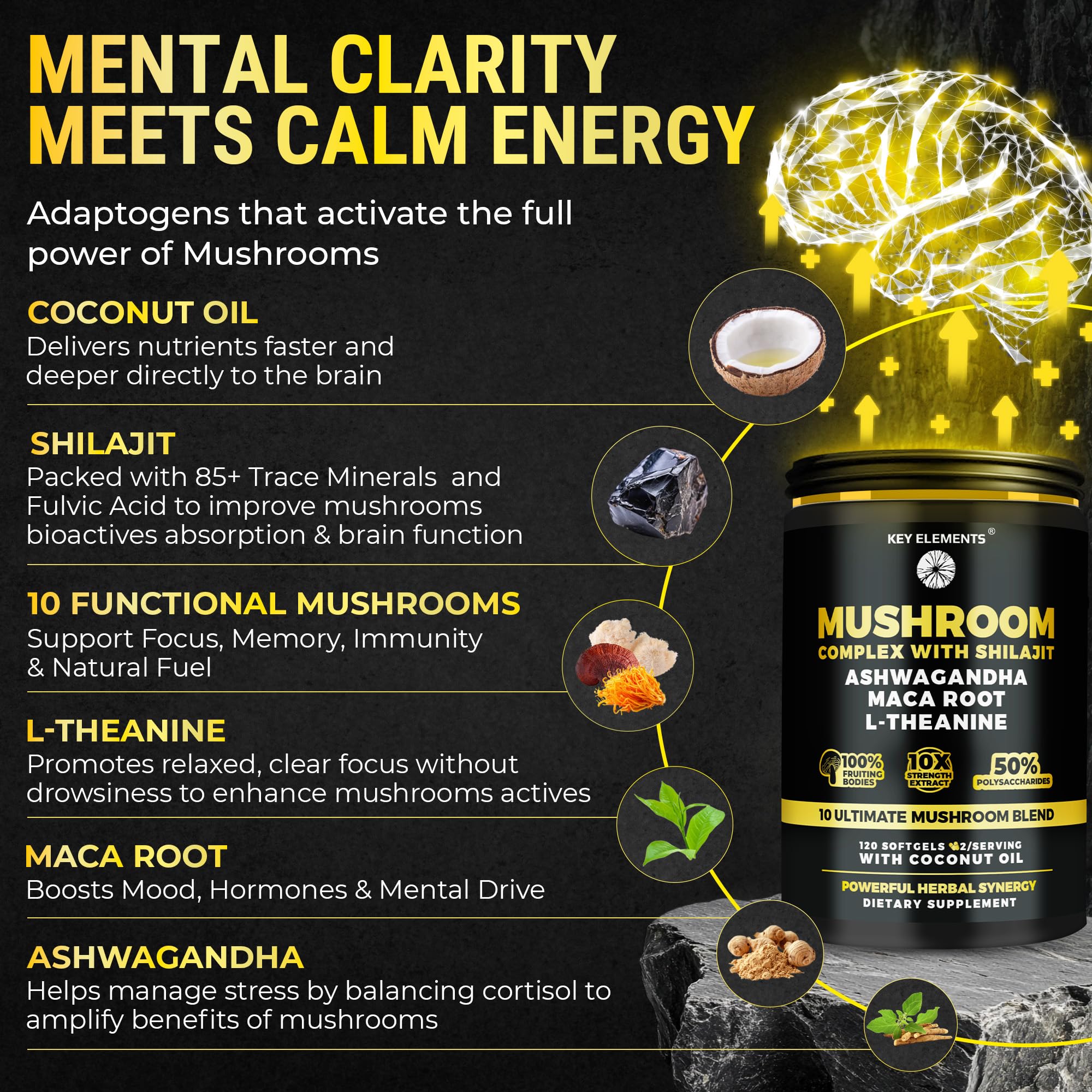 Ashwagandha and L-Theanine blend in capsule close-up suggesting calm focus.