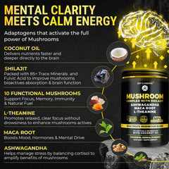 Ashwagandha and L-Theanine blend in capsule close-up suggesting calm focus.