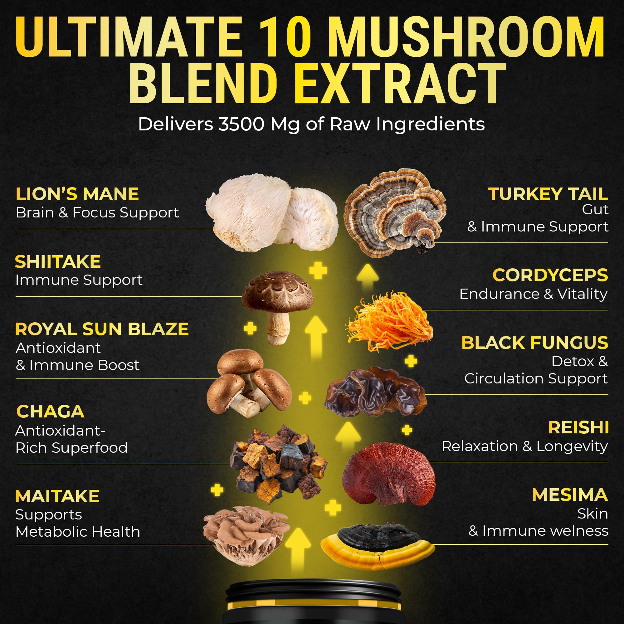 Full-spectrum mushroom nootropic label showing diverse ingredients.