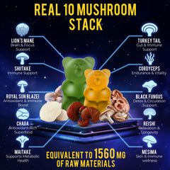 Key Elements mushroom nootropic blend with Lions Mane and Reishi for focus.