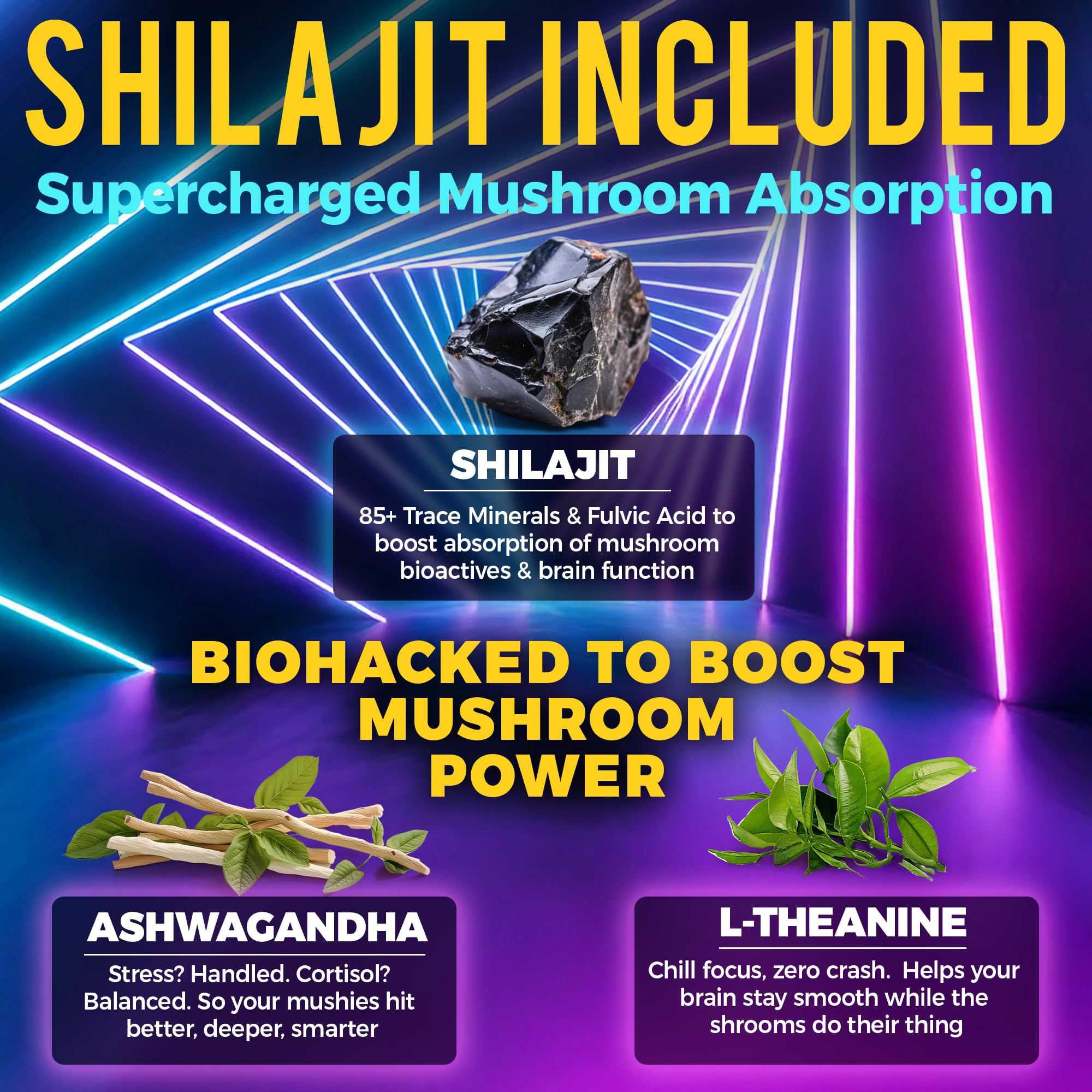 Key Elements organic Shilajit for enhanced absorption and vitality.